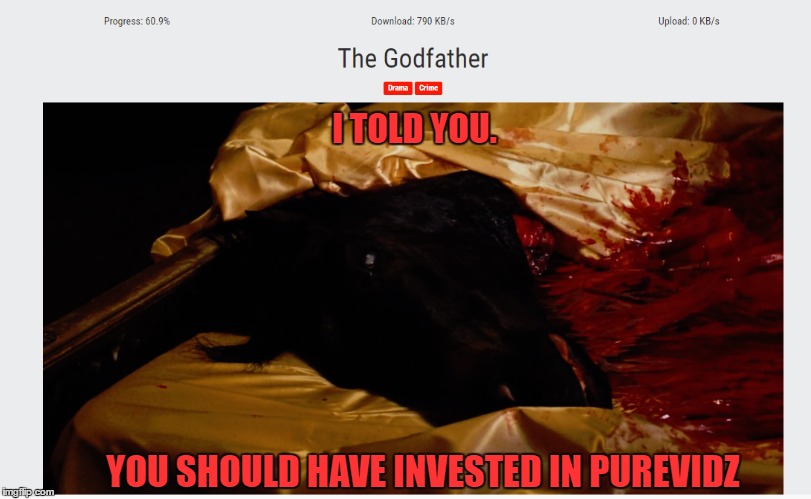 I TOLD YOU. YOU SHOULD HAVE INVESTED IN PUREVIDZ | made w/ Imgflip meme maker