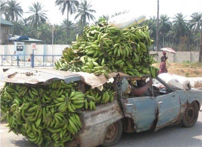 Platanos Blank Meme Template
