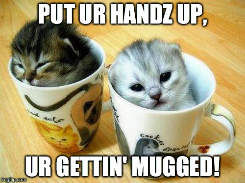 mugged | PUT UR HANDZ UP, UR GETTIN' MUGGED! | image tagged in google most random picture ever you will have fun | made w/ Imgflip meme maker