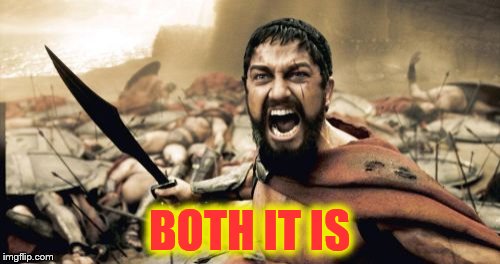 Sparta Leonidas Meme | BOTH IT IS | image tagged in memes,sparta leonidas | made w/ Imgflip meme maker