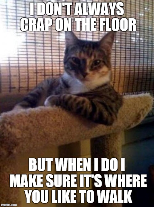 The Most Interesting Cat In The World | I DON'T ALWAYS CRAP ON THE FLOOR; BUT WHEN I DO I MAKE SURE IT'S WHERE YOU LIKE TO WALK | image tagged in memes,the most interesting cat in the world | made w/ Imgflip meme maker