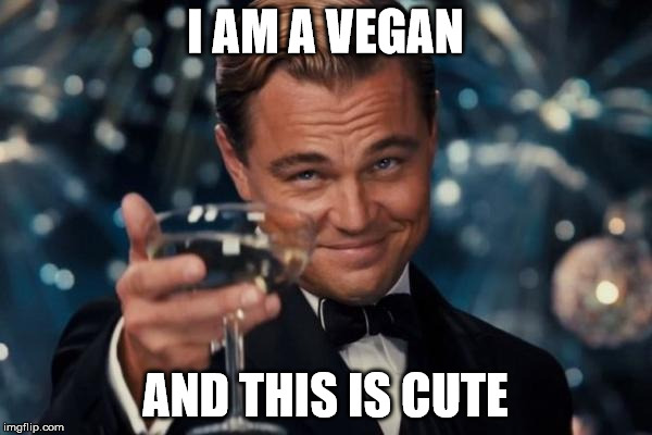Leonardo Dicaprio Cheers Meme | I AM A VEGAN AND THIS IS CUTE | image tagged in memes,leonardo dicaprio cheers | made w/ Imgflip meme maker