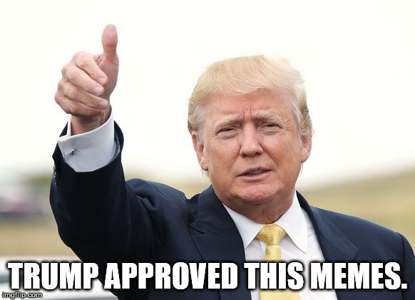 Trump approved  | TRUMP APPROVED THIS MEMES. | image tagged in trump approved | made w/ Imgflip meme maker