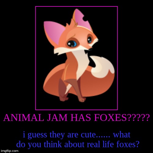 animal jam foxes | image tagged in foxes,aj,animal jam | made w/ Imgflip demotivational maker