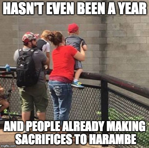 I would have shot Harambe too but may he live on forever in memes. | HASN'T EVEN BEEN A YEAR; AND PEOPLE ALREADY MAKING SACRIFICES TO HARAMBE | image tagged in dumb parents,harambe,bacon | made w/ Imgflip meme maker