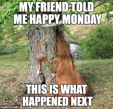 real horses | MY FRIEND TOLD ME HAPPY MONDAY; THIS IS WHAT HAPPENED NEXT | image tagged in real horses | made w/ Imgflip meme maker