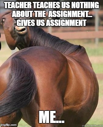 horses ass | TEACHER TEACHES US NOTHING ABOUT THE  ASSIGNMENT... GIVES US ASSIGNMENT; ME... | image tagged in horses ass | made w/ Imgflip meme maker