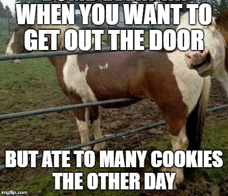 Don't be a horses arse...vote Bernie!! | WHEN YOU WANT TO GET OUT THE DOOR; BUT ATE TO MANY COOKIES THE OTHER DAY | image tagged in don't be a horses arsevote bernie | made w/ Imgflip meme maker