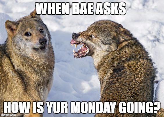 Red Wolvess | WHEN BAE ASKS; HOW IS YUR MONDAY GOING? | image tagged in red wolvess | made w/ Imgflip meme maker