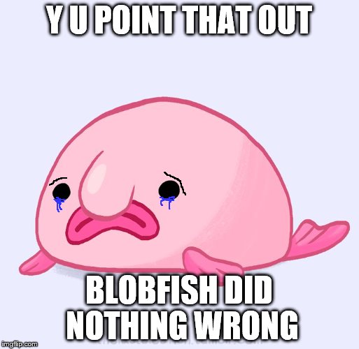 Y U POINT THAT OUT BLOBFISH DID NOTHING WRONG | made w/ Imgflip meme maker