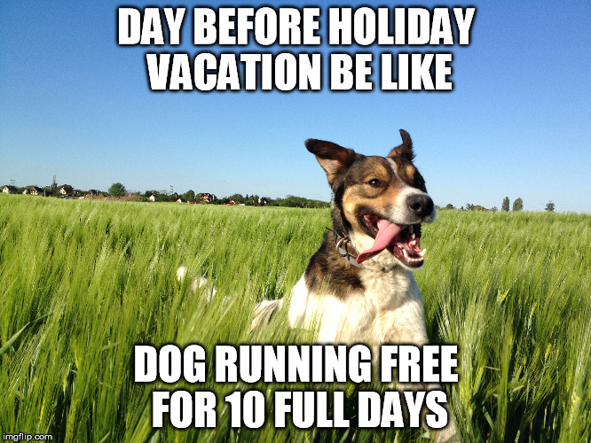 Day Before Holiday Vacation | DAY BEFORE HOLIDAY VACATION BE LIKE; DOG RUNNING FREE FOR 10 FULL DAYS | image tagged in funny | made w/ Imgflip meme maker