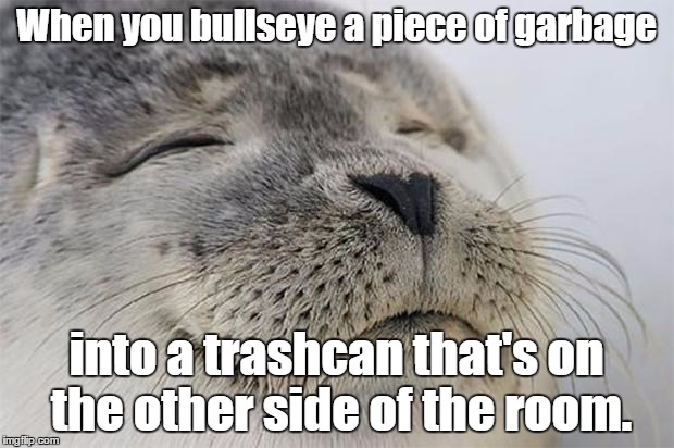 Satisfied Seal | When you bullseye a piece of garbage; into a trashcan that's on the other side of the room. | image tagged in memes,satisfied seal | made w/ Imgflip meme maker