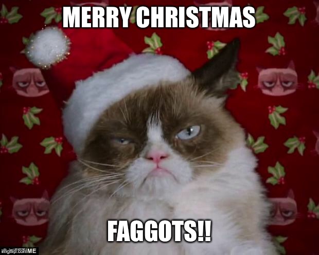 Grumpy Cat Christmas | MERRY CHRISTMAS; FAGGOTS!! | image tagged in grumpy cat christmas | made w/ Imgflip meme maker