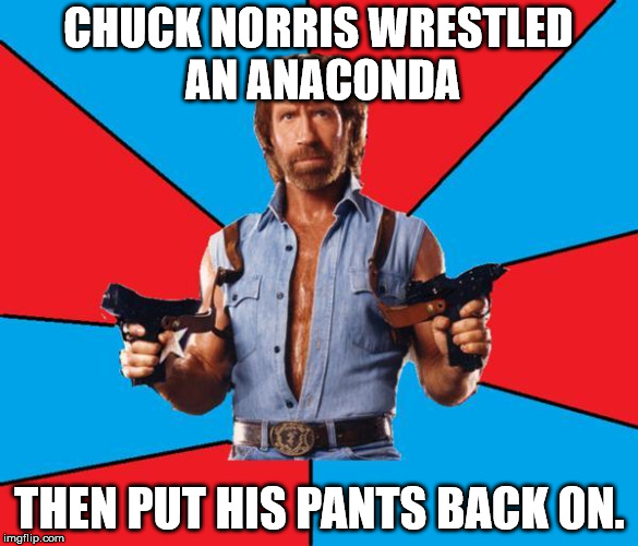 Chuck Norris With Guns Meme | CHUCK NORRIS WRESTLED AN ANACONDA; THEN PUT HIS PANTS BACK ON. | image tagged in memes,chuck norris with guns,chuck norris,funny | made w/ Imgflip meme maker