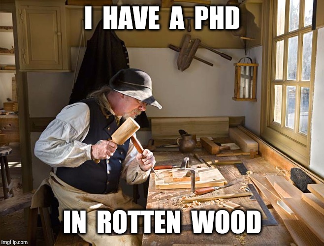 I  HAVE  A  PHD IN  ROTTEN  WOOD | made w/ Imgflip meme maker