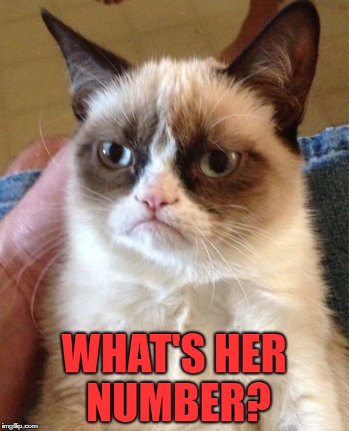 Grumpy Cat Meme | WHAT'S HER NUMBER? | image tagged in memes,grumpy cat | made w/ Imgflip meme maker