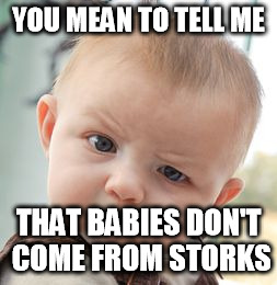 Skeptical Baby Meme | YOU MEAN TO TELL ME; THAT BABIES DON'T COME FROM STORKS | image tagged in memes,skeptical baby | made w/ Imgflip meme maker