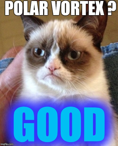 Arctic Cat | POLAR VORTEX ? GOOD | image tagged in memes,grumpy cat | made w/ Imgflip meme maker