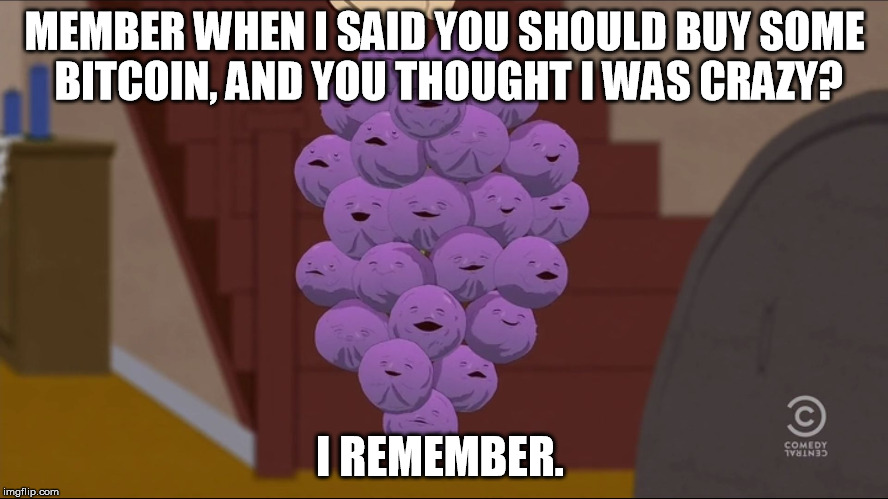 Member Berries | MEMBER WHEN I SAID YOU SHOULD BUY SOME BITCOIN, AND YOU THOUGHT I WAS CRAZY? I REMEMBER. | image tagged in memes,member berries | made w/ Imgflip meme maker