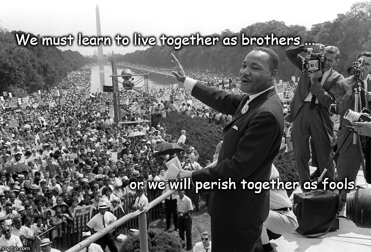 We must learn to live together as brothers ... or we will perish together as fools. | image tagged in mlk live as brothers | made w/ Imgflip meme maker
