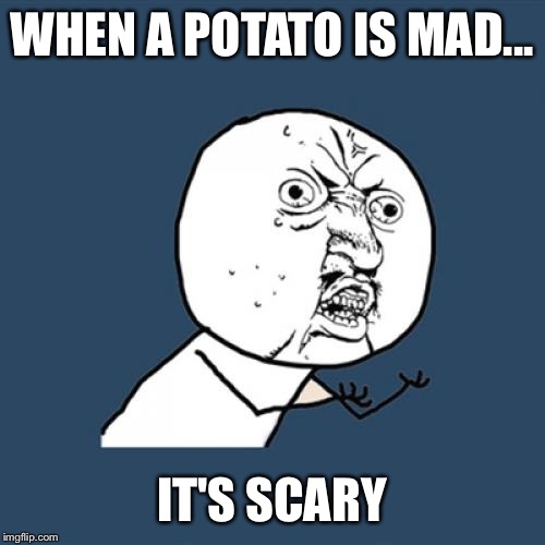 Y U No | WHEN A POTATO IS MAD... IT'S SCARY | image tagged in memes,y u no | made w/ Imgflip meme maker