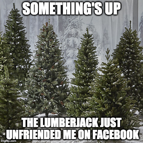 fir first world problems | SOMETHING'S UP; THE LUMBERJACK JUST UNFRIENDED ME ON FACEBOOK | image tagged in christmas | made w/ Imgflip meme maker