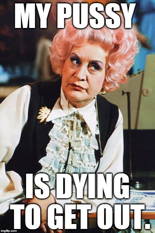 mrs slocombe | MY PUSSY; IS DYING TO GET OUT. | image tagged in mrs slocombe | made w/ Imgflip meme maker