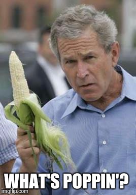 Bush Corn | WHAT'S POPPIN'? | image tagged in bush corn | made w/ Imgflip meme maker