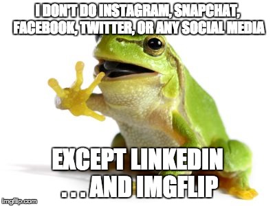 How 'bout no frog | I DON'T DO INSTAGRAM, SNAPCHAT, FACEBOOK, TWITTER, OR ANY SOCIAL MEDIA EXCEPT LINKEDIN . . . AND IMGFLIP | image tagged in how 'bout no frog | made w/ Imgflip meme maker