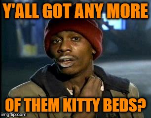 Y'all Got Any More Of That Meme | Y'ALL GOT ANY MORE OF THEM KITTY BEDS? | image tagged in memes,yall got any more of | made w/ Imgflip meme maker