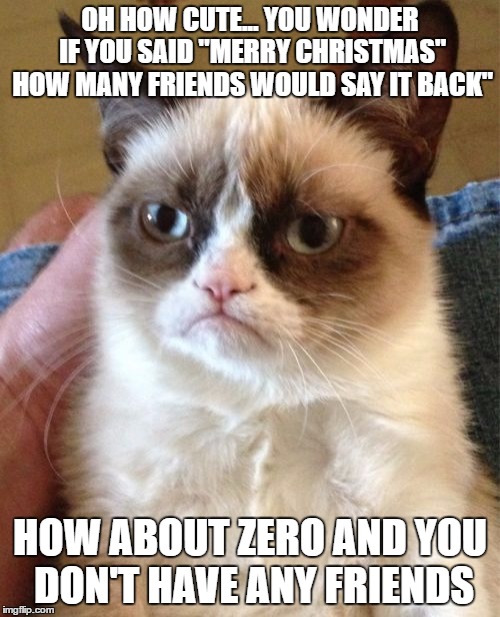 Grumpy Cat Meme | OH HOW CUTE... YOU WONDER IF YOU SAID "MERRY CHRISTMAS" HOW MANY FRIENDS WOULD SAY IT BACK"; HOW ABOUT ZERO AND YOU DON'T HAVE ANY FRIENDS | image tagged in memes,grumpy cat | made w/ Imgflip meme maker