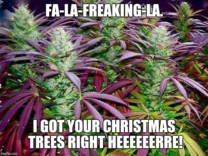 Tis The Season | FA-LA-FREAKING-LA. I GOT YOUR CHRISTMAS TREES RIGHT HEEEEEERRE! | image tagged in memes,weed | made w/ Imgflip meme maker