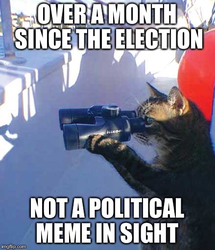 Cat with binoculars  | OVER A MONTH SINCE THE ELECTION; NOT A POLITICAL MEME IN SIGHT | image tagged in cat with binoculars | made w/ Imgflip meme maker