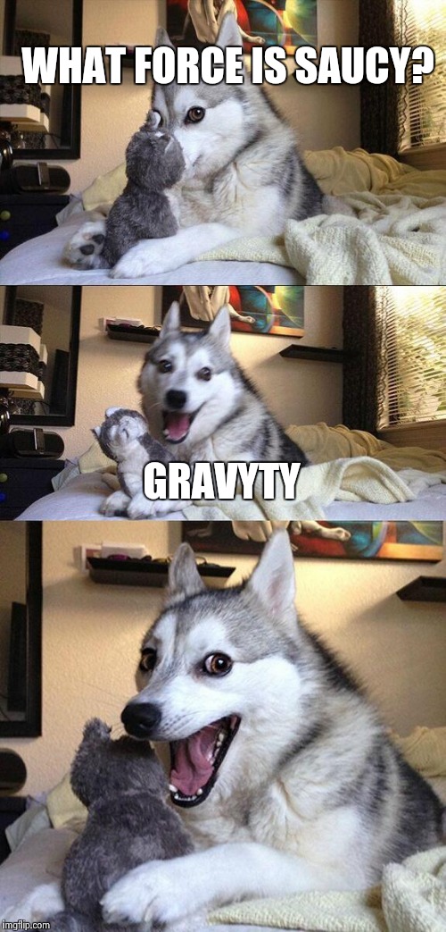 Bad Pun Dog | WHAT FORCE IS SAUCY? GRAVYTY | image tagged in memes,bad pun dog | made w/ Imgflip meme maker