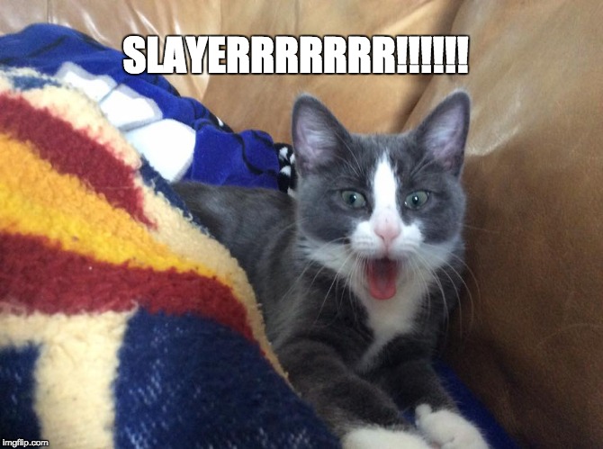 LOL CAT | SLAYERRRRRRR!!!!!! | image tagged in lol cat | made w/ Imgflip meme maker