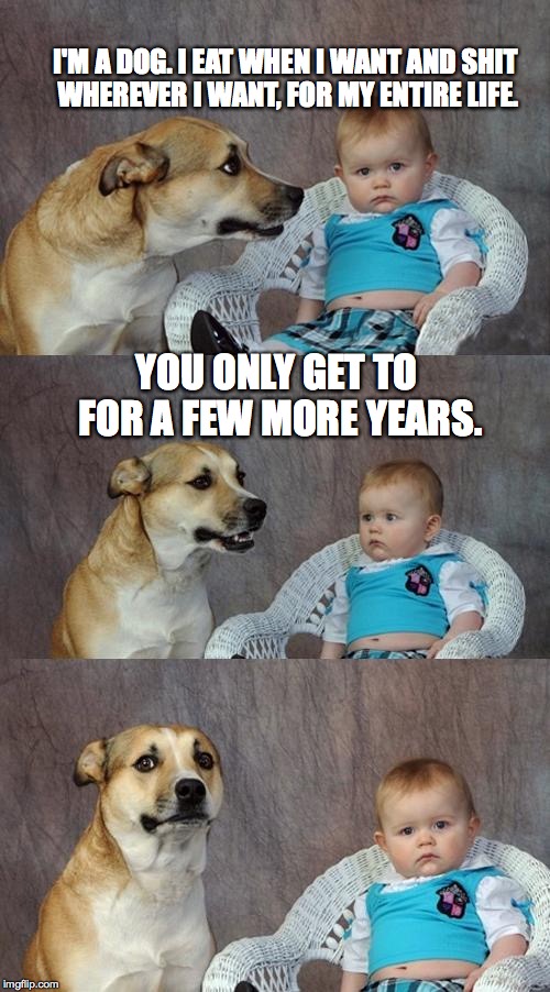 Dad Joke Dog Meme | I'M A DOG. I EAT WHEN I WANT AND SHIT WHEREVER I WANT, FOR MY ENTIRE LIFE. YOU ONLY GET TO FOR A FEW MORE YEARS. | image tagged in memes,dad joke dog | made w/ Imgflip meme maker