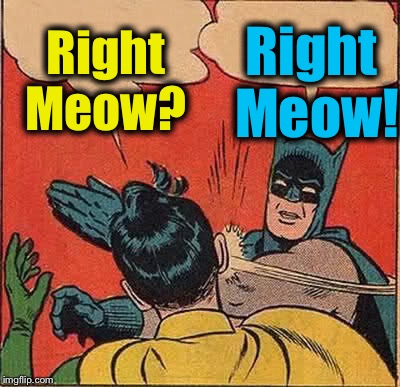 Batman Slapping Robin Meme | Right Meow? Right Meow! | image tagged in memes,batman slapping robin | made w/ Imgflip meme maker
