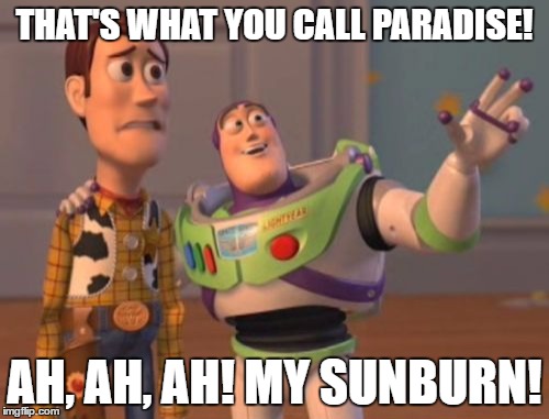 X, X Everywhere Meme | THAT'S WHAT YOU CALL PARADISE! AH, AH, AH! MY SUNBURN! | image tagged in memes,x x everywhere | made w/ Imgflip meme maker