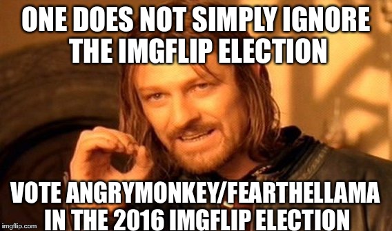 One Does Not Simply Meme | ONE DOES NOT SIMPLY IGNORE THE IMGFLIP ELECTION; VOTE ANGRYMONKEY/FEARTHELLAMA IN THE 2016 IMGFLIP ELECTION | image tagged in memes,one does not simply | made w/ Imgflip meme maker