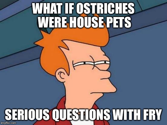 Futurama Fry | WHAT IF OSTRICHES WERE HOUSE PETS; SERIOUS QUESTIONS WITH FRY | image tagged in memes,futurama fry | made w/ Imgflip meme maker