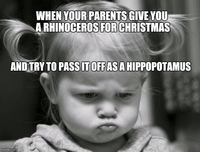 I want a hippopotamus for Christmas | WHEN YOUR PARENTS GIVE YOU A RHINOCEROS FOR CHRISTMAS; AND TRY TO PASS IT OFF AS A HIPPOPOTAMUS | image tagged in i want a hippopotamus,christmas,pout | made w/ Imgflip meme maker