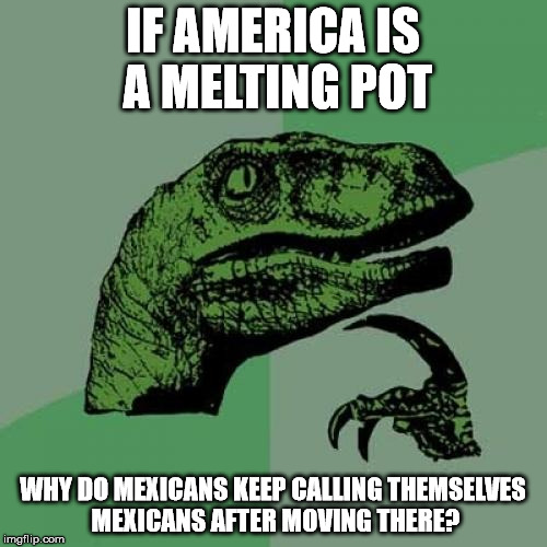 Philosoraptor Meme | IF AMERICA IS A MELTING POT WHY DO MEXICANS KEEP CALLING THEMSELVES MEXICANS AFTER MOVING THERE? | image tagged in memes,philosoraptor | made w/ Imgflip meme maker