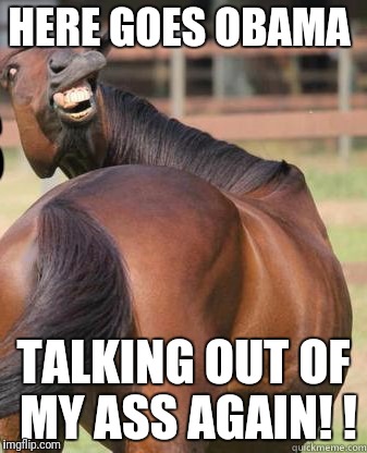 horses ass | HERE GOES OBAMA; TALKING OUT OF MY ASS AGAIN! ! | image tagged in horses ass | made w/ Imgflip meme maker