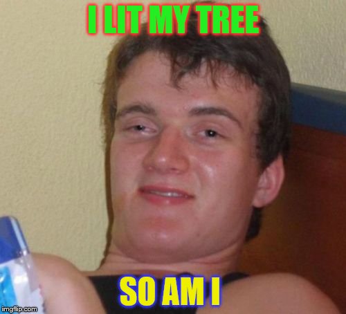 10 Guy | I LIT MY TREE; SO AM I | image tagged in memes,10 guy | made w/ Imgflip meme maker
