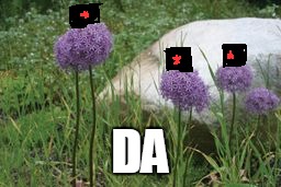 DA | made w/ Imgflip meme maker