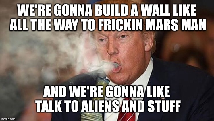 Read in Jim Bruer voice | WE'RE GONNA BUILD A WALL LIKE ALL THE WAY TO FRICKIN MARS MAN; AND WE'RE GONNA LIKE TALK TO ALIENS AND STUFF | image tagged in memes | made w/ Imgflip meme maker