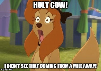 I Didn't See That Coming From A Mile Away! |  HOLY COW! I DIDN'T SEE THAT COMING FROM A MILE AWAY! | image tagged in dixie stunned,memes,disney,the fox and the hound 2,reba mcentire,dog | made w/ Imgflip meme maker