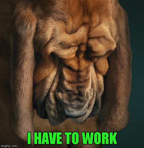 I HAVE TO WORK | made w/ Imgflip meme maker