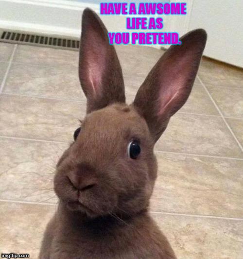 Really? Rabbit | HAVE A AWSOME LIFE
AS YOU PRETEND. | image tagged in really rabbit | made w/ Imgflip meme maker