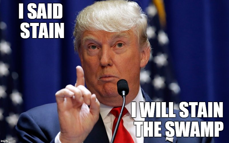 Oh, that explains it | I SAID STAIN; I WILL STAIN THE SWAMP | image tagged in donald trump,trumpetters,idiots,liar | made w/ Imgflip meme maker